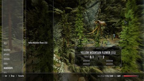 Where Do You Get Yellow Mountain Flowers in Skyrim? – FandomSpot