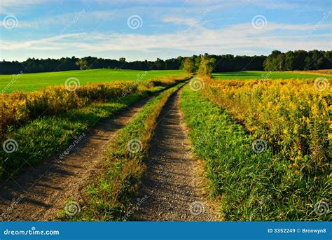 Country Lane stock image. Image of morning, dirt, country - 3352249