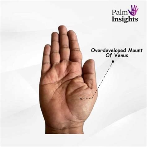 Mount Of Venus In Palmistry: A Quick And Easy Guide!