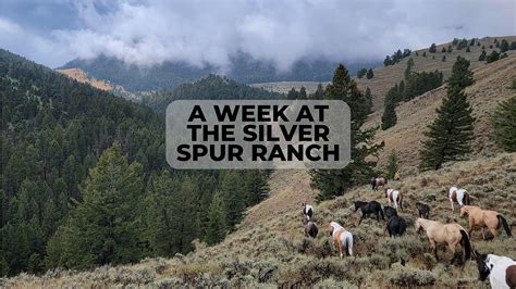 A Week At The Silver Spur Ranch