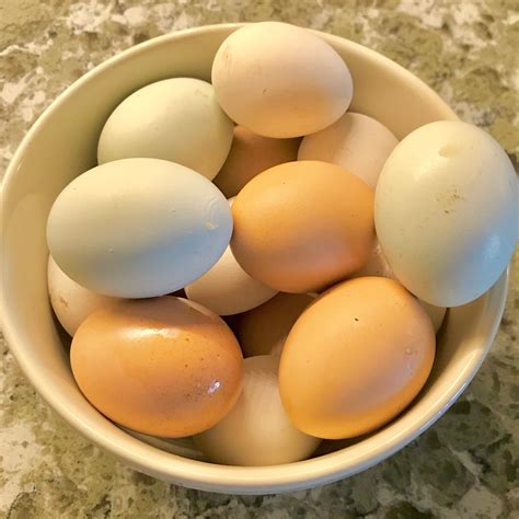 7 Ways To Preserve Fresh Eggs & 13 Ideas For Using Extra Eggs