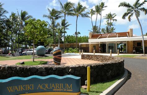 Waikiki Aquarium - Private Tours Hawaii : Personalized - Customized ...