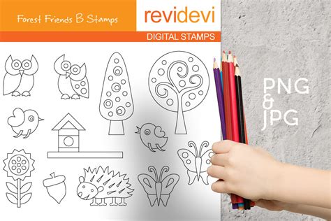 Forest Friends Coloring Pages Graphic by Revidevi · Creative Fabrica