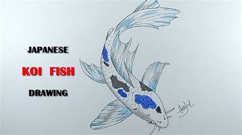 How To Draw A Japanese Koi Fish . - YouTube