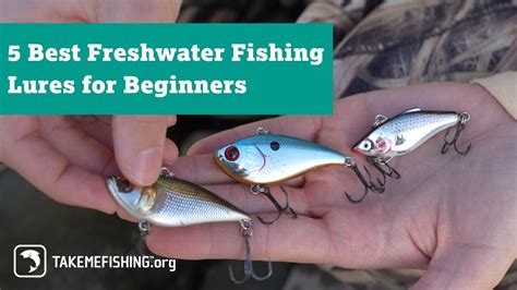 5 Best Freshwater Fishing Lures for Beginners - Fishing