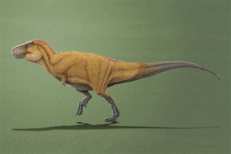 Did T. rex have feathers? | Earth Archives