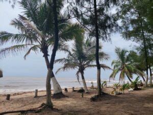 Top things to do in Kihim Beach Mumbai