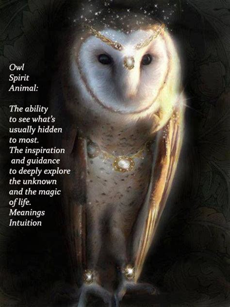 Owl Spirit... | Owl spirit animal, Animal totem spirit guides, Owl wisdom