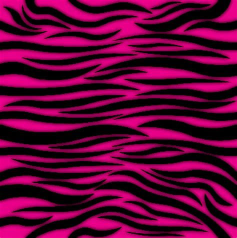 Pink and Black Zebra Wallpapers - Top Free Pink and Black Zebra Backgrounds - WallpaperAccess