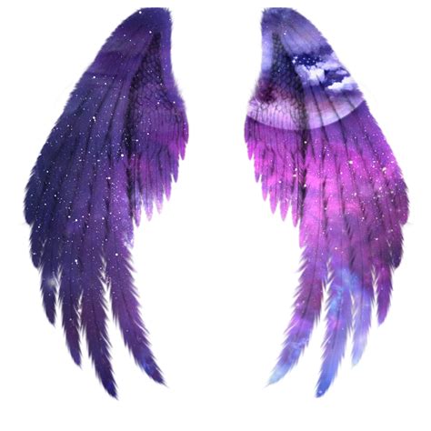 Realistic Fairy Wings Png Photo Png Arts | My XXX Hot Girl