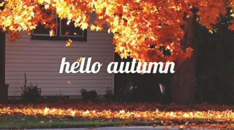 Hello Autumn - Fall GIF - Fall Autumn HelloAutumn - Discover & Share GIFs