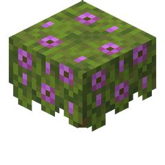 Azalea tree – Minecraft Wiki