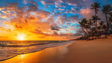 Earth, beach, Sunset, HD wallpaper | Peakpx