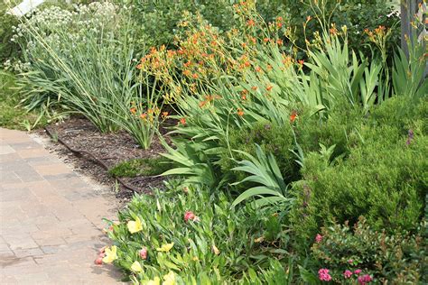 Xeriscape Garden Plants | Oklahoma State University