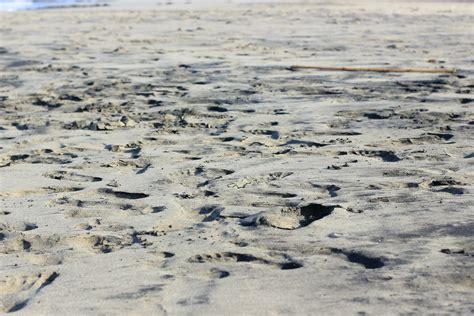 footprints in the beach sand 25768041 Stock Photo at Vecteezy