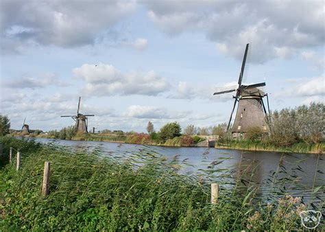 Kinderdijk Windmills: A Scenic Day Trip in the Netherlands | The Adventures of Panda Bear