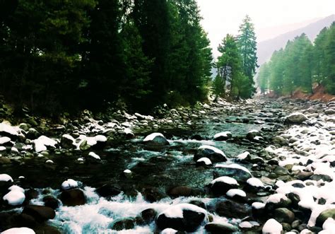 Pahalgam : History, Sightseeing, How To Reach & Best Time To Visit | Adotrip