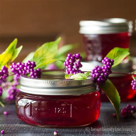 Beautyberry Jelly: A Welcome Tasty Homemade Gift | Hearth and Vine