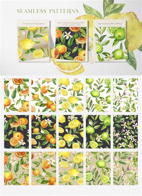 Citrusy Fruits watercolor collection, a Decorative Illustration by Volha Studio | Watercolor ...