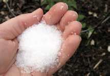 Adding Epsom Salts To Your Garden and Lawn: Claims vs Facts ⋆ Big Blog Of Gardening