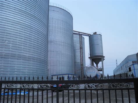 3000 Tons Cement Silo Project In Shangdong | AGICO