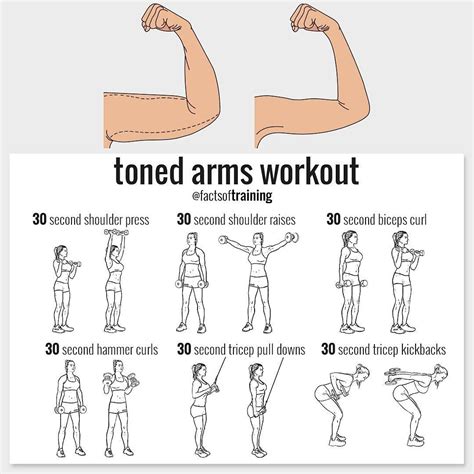 Toned Arms Workout : r/workouts