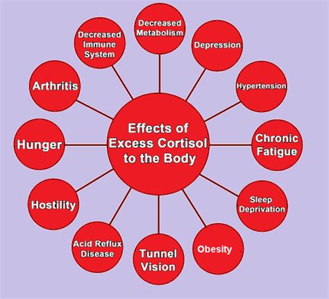 Chronic Stress: Cortisol and Oxytocin | Longevity