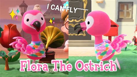 Flora The Flamingo 🦩(Ostrich)- Animal Crossing New Horizons ACNH - YouTube