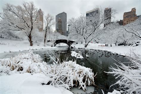 Central Park winter – Songquan Photography