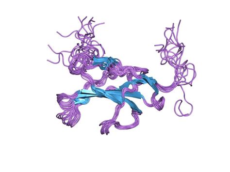 Receptors, Transforming Growth Factor Beta; Receptors, TGF-beta ...