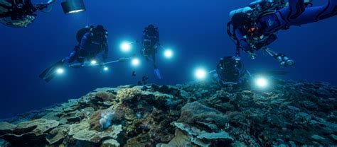 Two miles of Twilight Zone corals discovered off Tahiti | Reef Builders ...