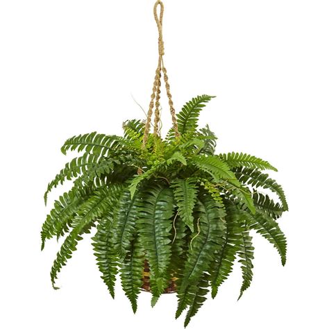 Nearly Natural Boston Fern Hanging Basket - Walmart.com - Walmart.com