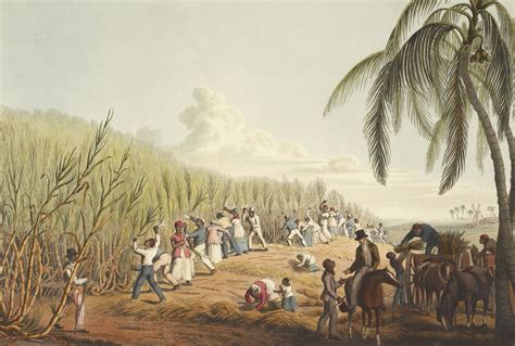 Slavery - Colonialism, Abolition, Resistance | Britannica