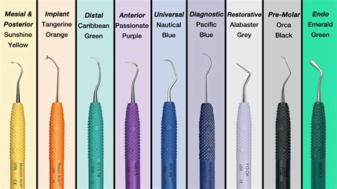 Dentist Tools Names