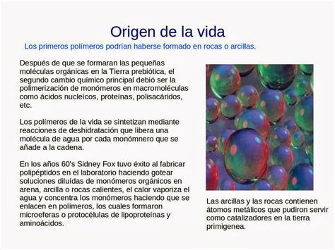 Café y Biología: Lección 12 origen de la vida