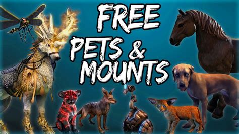 FREE PETS & MOUNTS in Elder Scrolls Online (ESO Guide) - YouTube