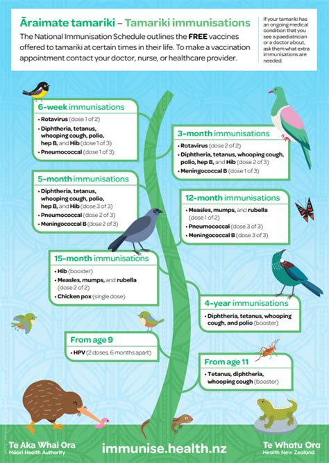 Tamariki immunisations schedule poster - NIP8792 – HealthEd