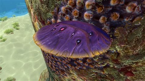 Image - Table Coral (3).jpg | Subnautica Wiki | FANDOM powered by Wikia