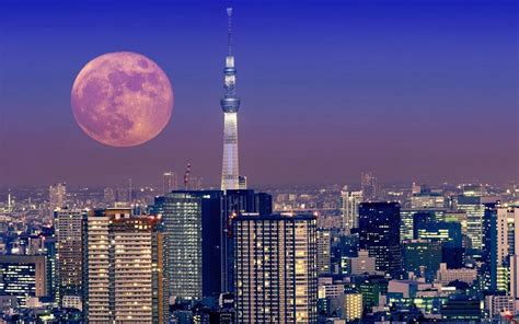 Tokyo Scenery Wallpapers - Top Free Tokyo Scenery Backgrounds - WallpaperAccess