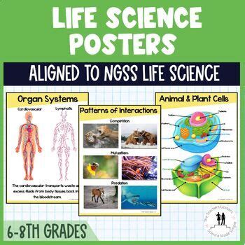 Life Science Posters by The Teachers Upstairs | TPT