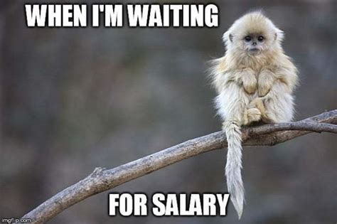 20 Really Funny It Hurts Your Wallet Salary Memes - SayingImages.com