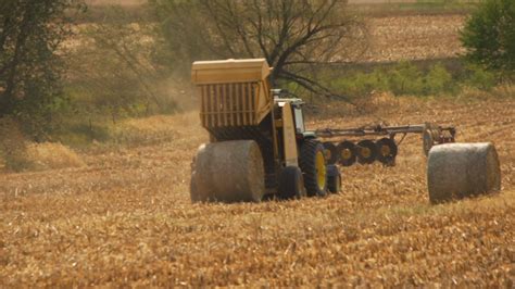 Premium Cornstalk Bales for Maximum Livestock Benefits