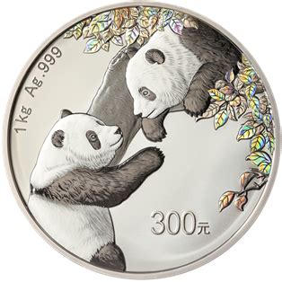 2023 Chinese Panda 1,000 g (1 Kg) 300 Yuan Silver Coin – COINSASIA