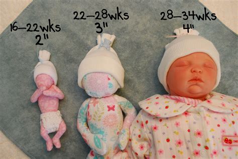 No Sew Preemie No sew Hat. NICU | Angel baby clothes, Angel baby ...