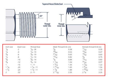 BSPP VS BSPT VS R VS Rc Thread Difference - Hydraxio: China SS ...