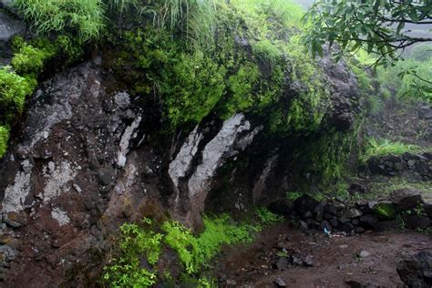 To Infinity And Beyond: Sinhagad fort in monsoon