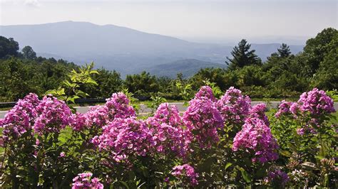 Great Smoky Mountains Scenic Expressway Route - Trip Canvas