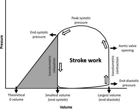 Pressure Volume Loop Cardiac Cycle