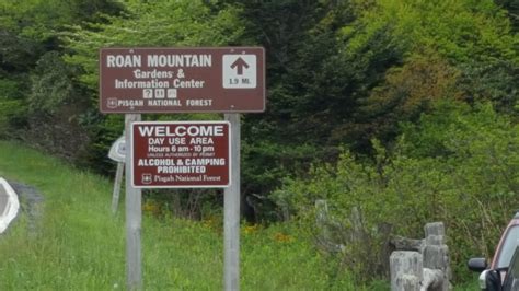 Roan Mountain Hiking NC/TN – runwithboys