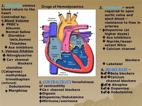 Hemodynamics Basic Concepts | Cardiology nursing, Icu nursing, Cardiac ...